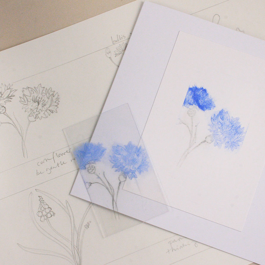 let's talk about - botanical printmaking