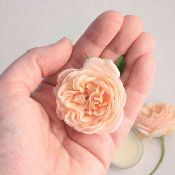 feeling fragile?