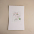 watercolour painting botanicals class