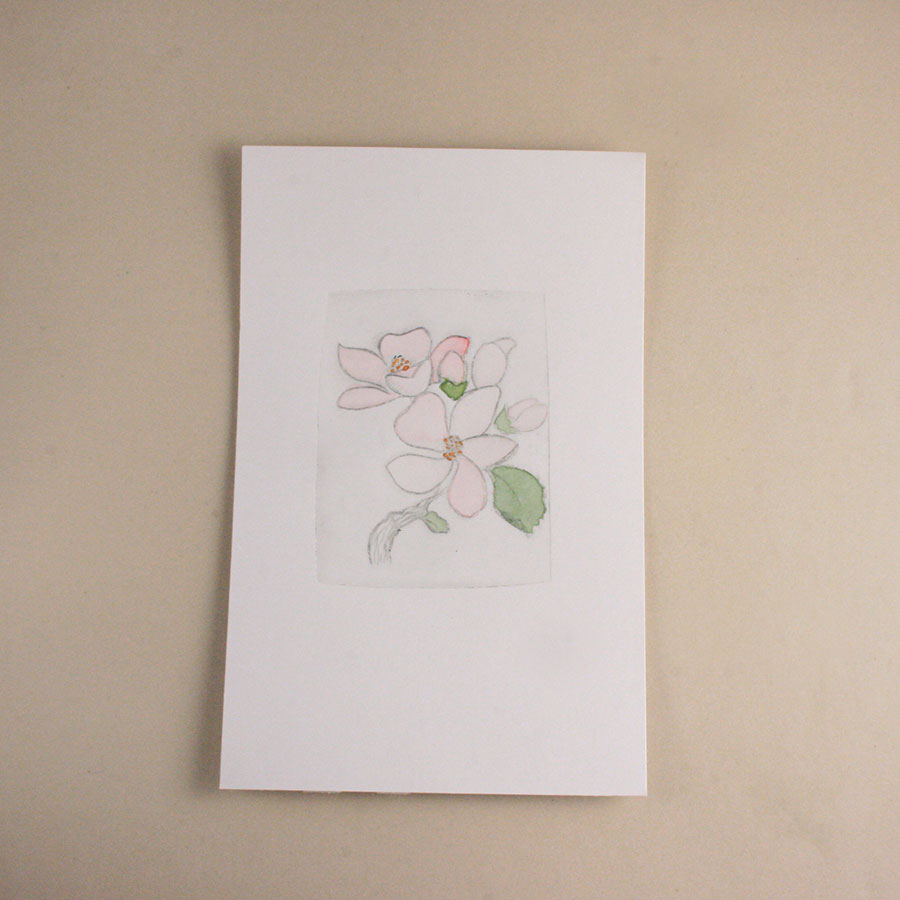 watercolour painting botanicals class