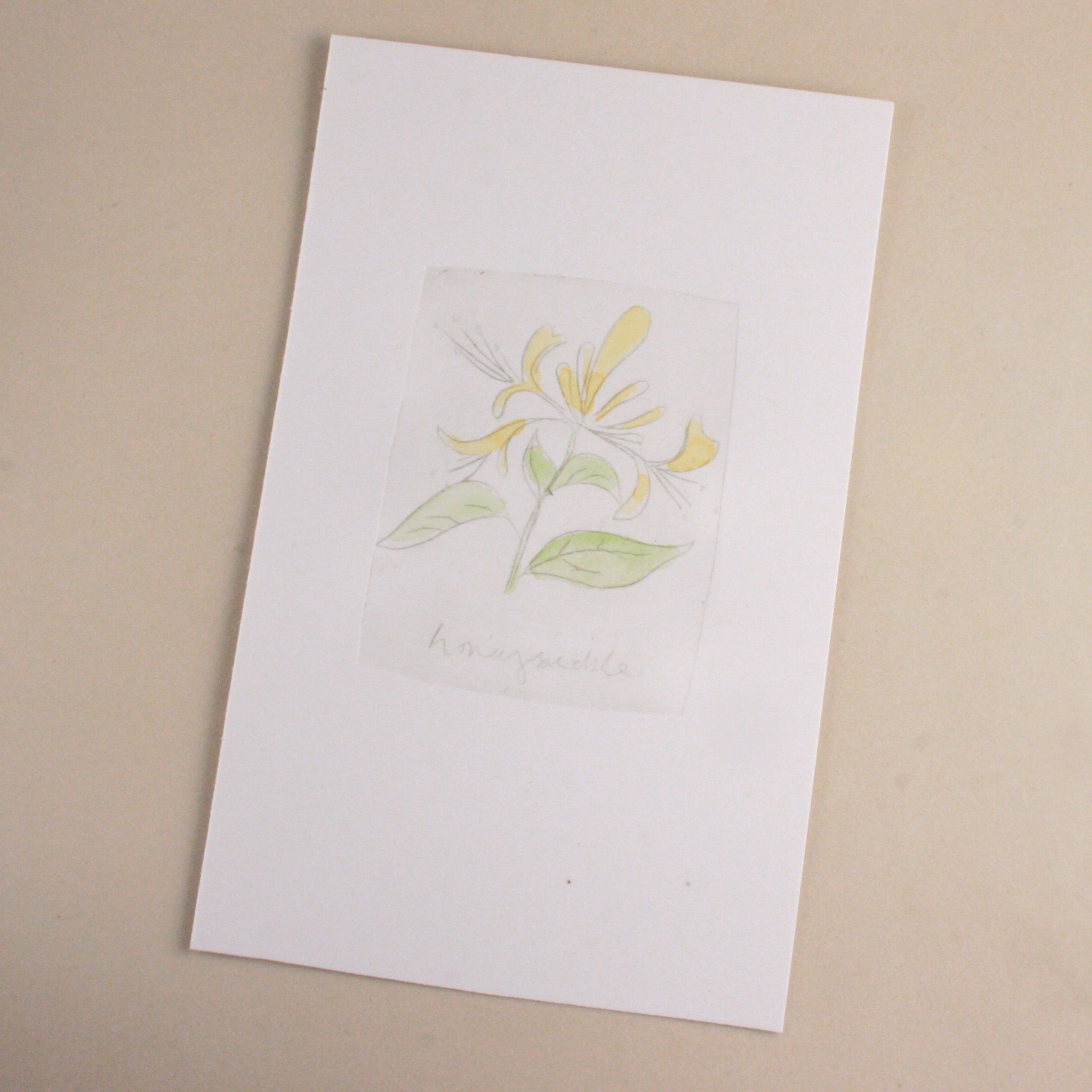 watercolour painting botanicals class