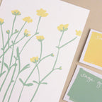 postcards - lucky dip