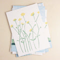 postcards - lucky dip