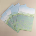 postcards - lucky dip