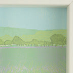 lavender fields