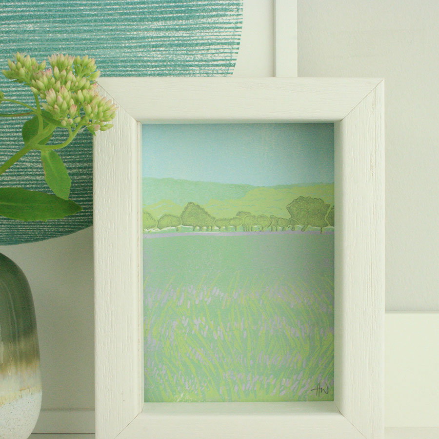 lavender fields