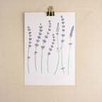 postcard printing