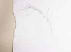 mono printing