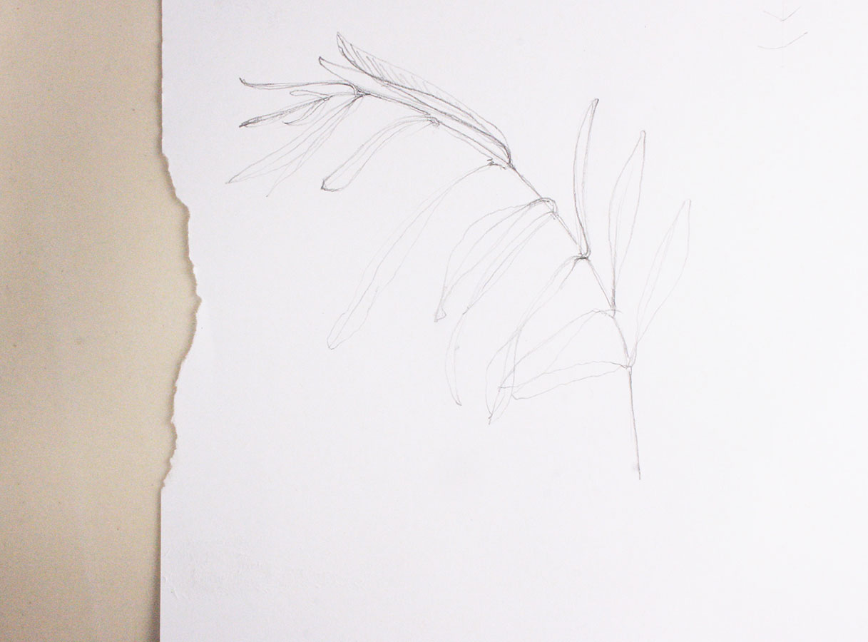 mono printing