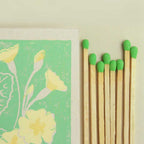 matches - primroses
