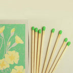 matches - primroses