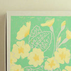 matches - primroses