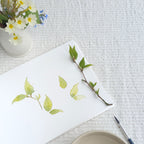 watercolour painting botanicals class