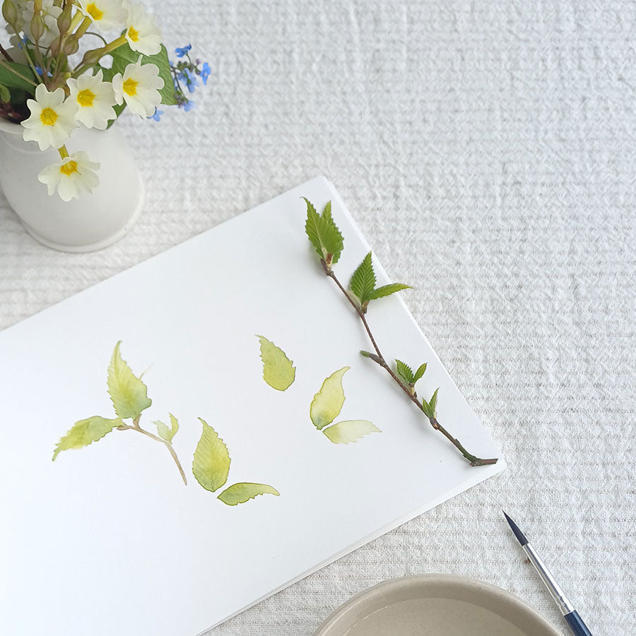 watercolour painting botanicals class