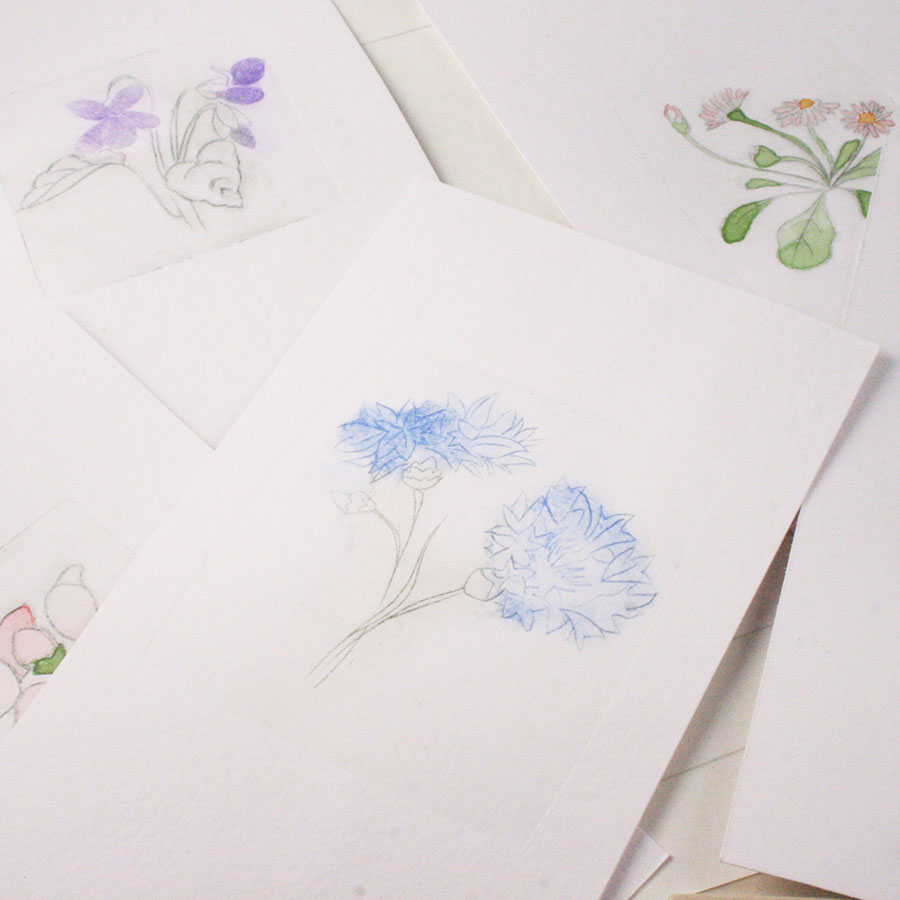 drypoint printed cornflowers