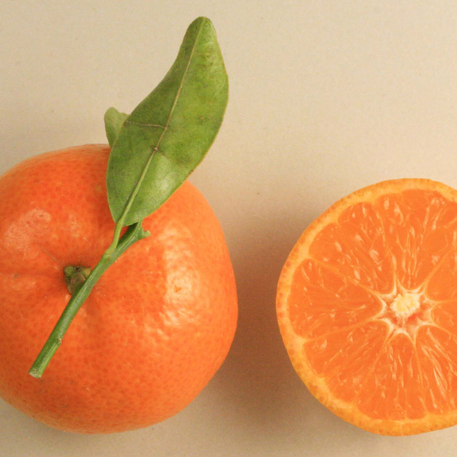 oranges with green leaf and one sliced in half