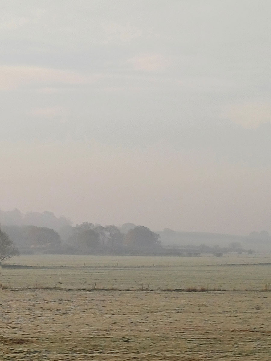 Misty morning landscape